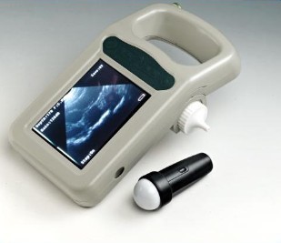 Wireless ultrasound veterinary scanner