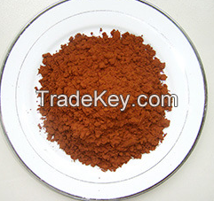 Health food ganoderma spore powder