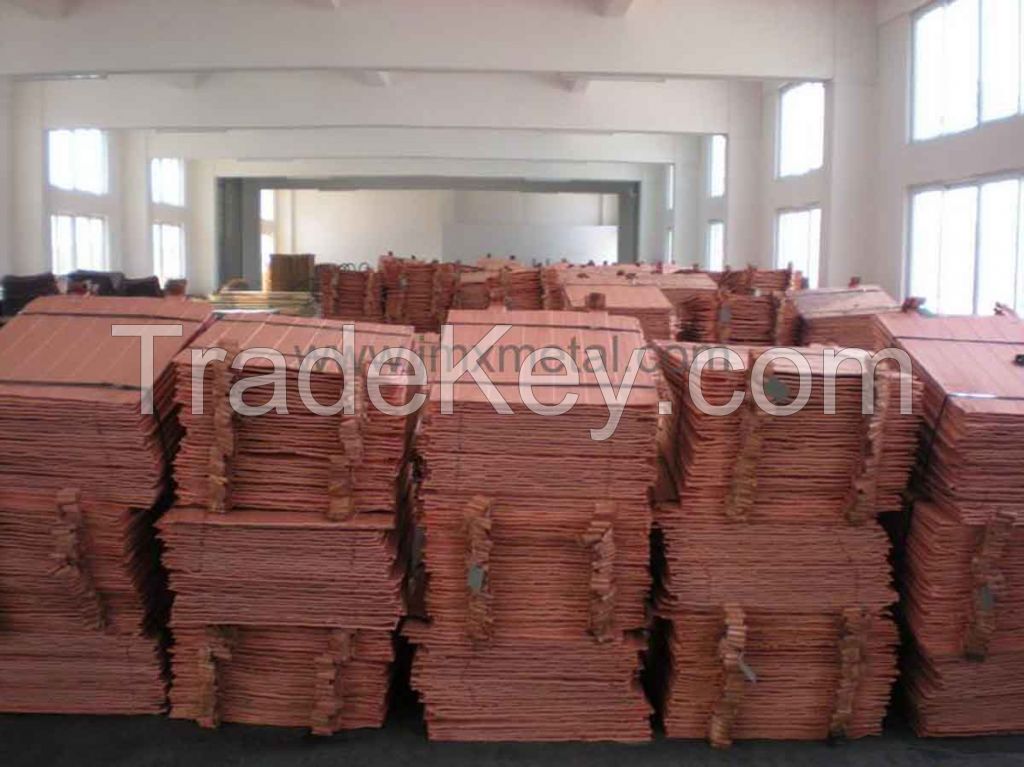 Supply Electrolytic copper cathodes 99.99%