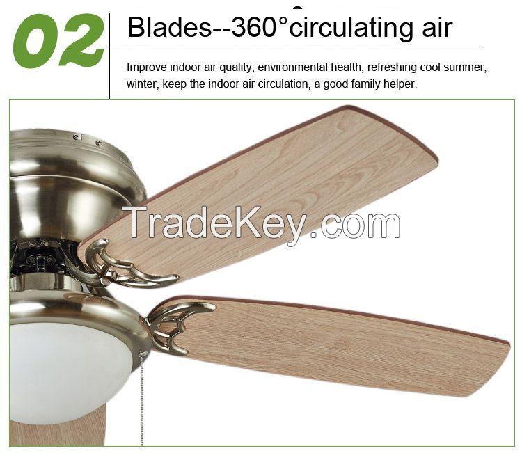 2015 New Ceiling fan lights Ceiling light Continental minimalist moder