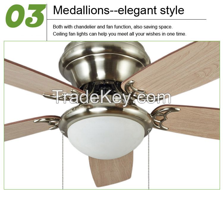 2015 New Ceiling fan lights Ceiling light Continental minimalist moder