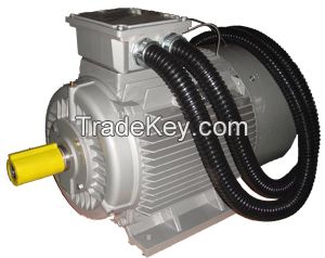 GW Series high temperature motor