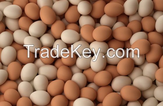 Fresh Brown and White Chicken Eggs