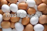 Fresh Brown and White Chicken Eggs
