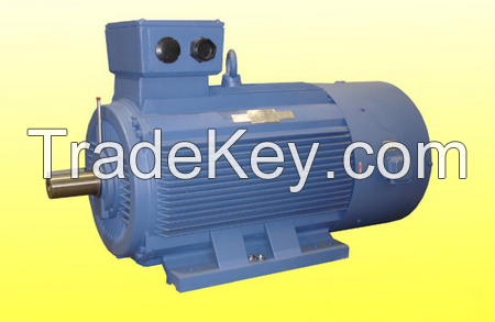 electric motors, AC motors, Y2,IE2, IE3 motors