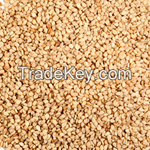 Sesame Seeds