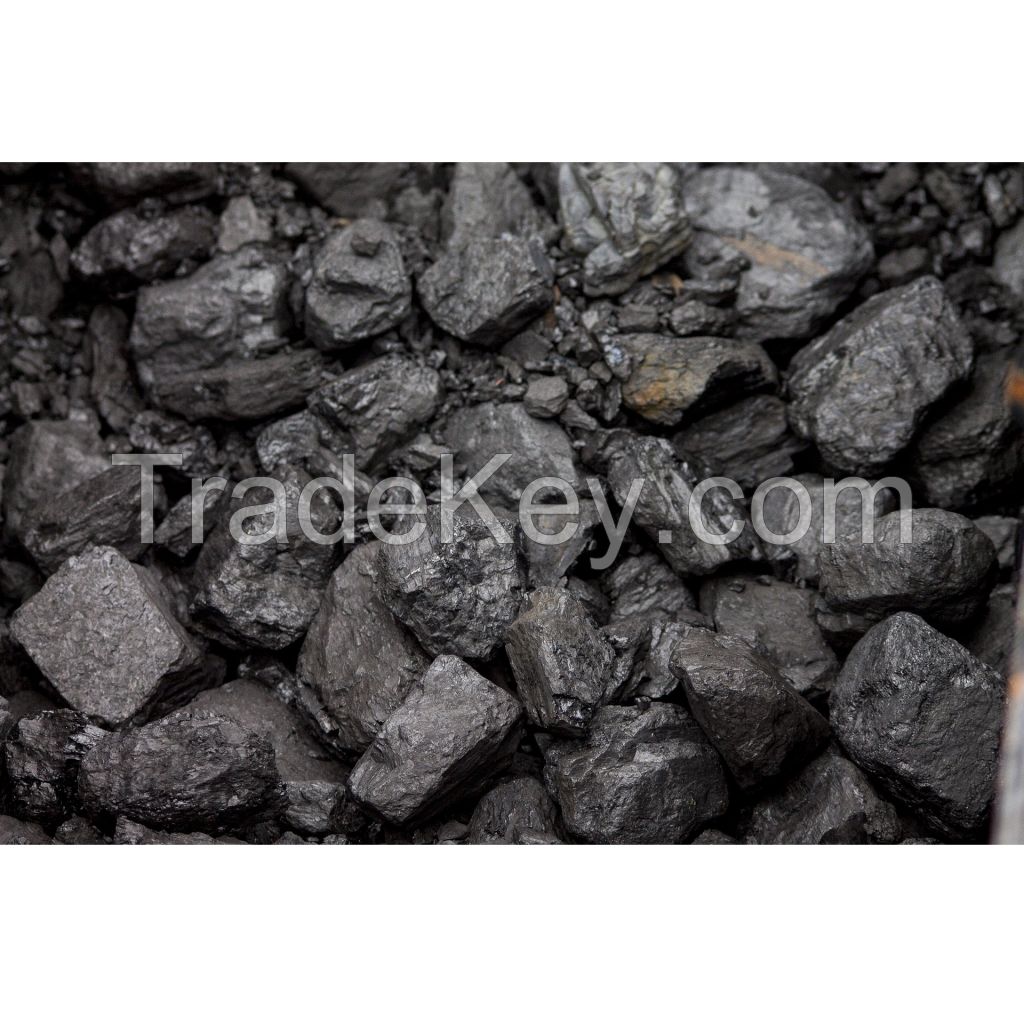 Cheap Price Indonesia Steam Coal for cooking