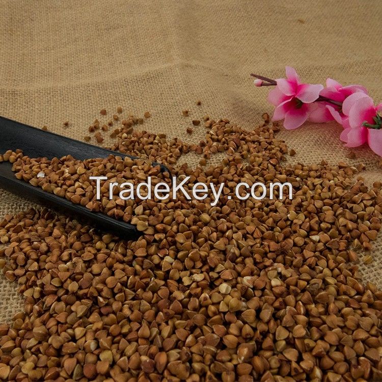 Export buckwheat with wholesale market price buckwheat