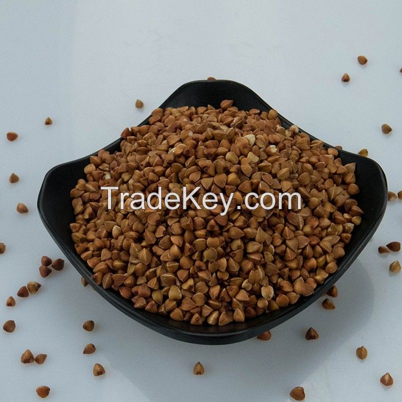 Wholesale Organic Raw Buckwheat Grain Vacuum Pack Non-gmo Buckwheat Kernels