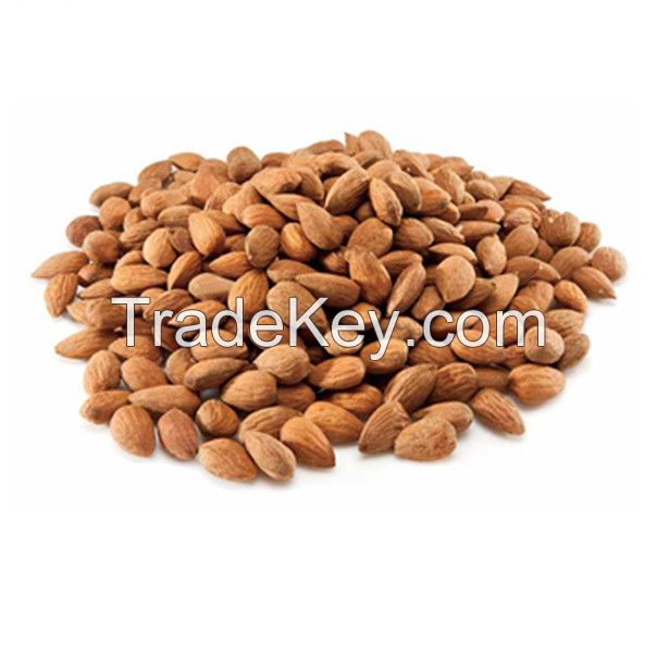 Dried and Raw Bitter Apricot kernel Crop for sale