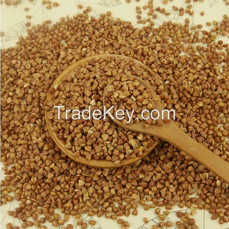 High Quality Wholesale Buckwheat