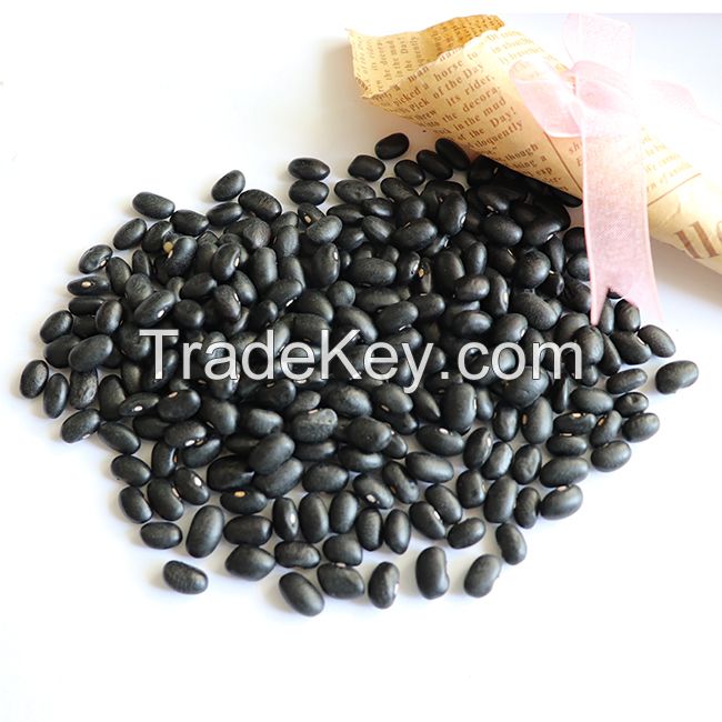 Black kidney beans South Africa product