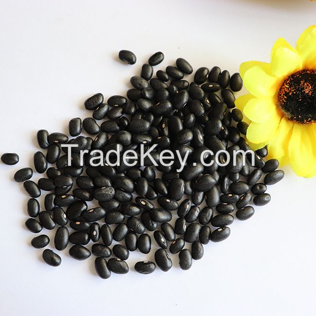 Naturally Grown Black Soybean Green Kernel Organic Certified Black Bean