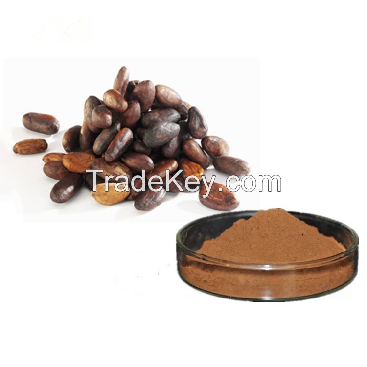 Herbal Extract Theobromine Cocoa Nut Extract as Adaptogen for Health Food