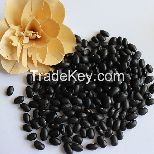 Naturally Grown Black Soybean Green Kernel Organic Certified Black Bean