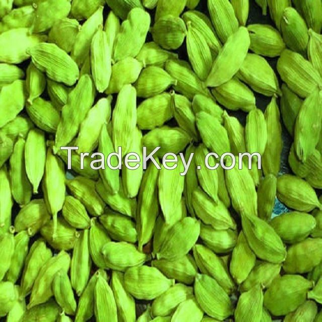 Green Cardamom Premium Whole Large Green Cardamom Fresh Quality