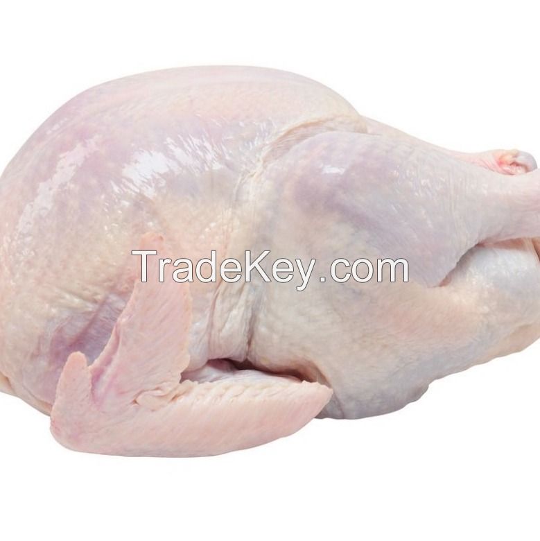 Cheap HALAL Frozen Chicken in bulk. / Frozen chicken legs