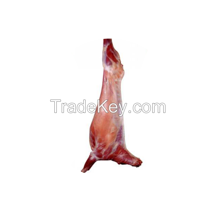 Halal Buffalo Boneless Meat/ Frozen Beef Frozen Beef ,cow meat,Goat beef meat for sale