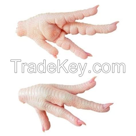 Frozen chicken feet paws in bulk for sale, chicken feet