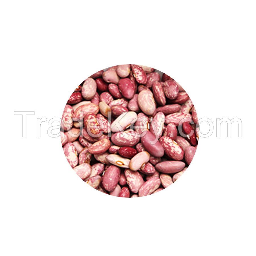 Factory Direct Sale 25kg 50kg Light/Red Speckled Kidney Beans