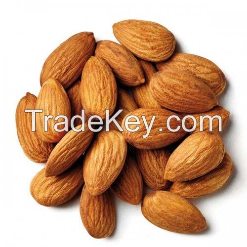 Grade A Almond Nuts / Raw Natural Almond Nuts / Organic Bitter Almonds