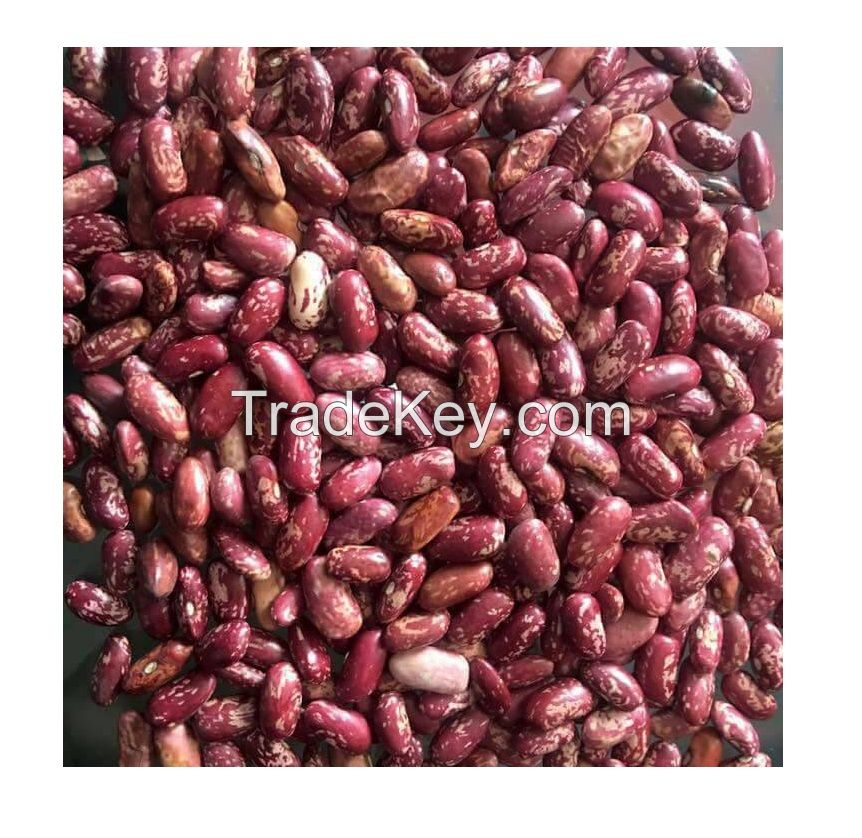 South Africa dry beans red bean red speckled kidney beans canned