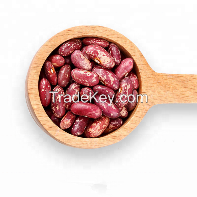 Factory Direct Sale 25kg 50kg Light/Red Speckled Kidney Beans