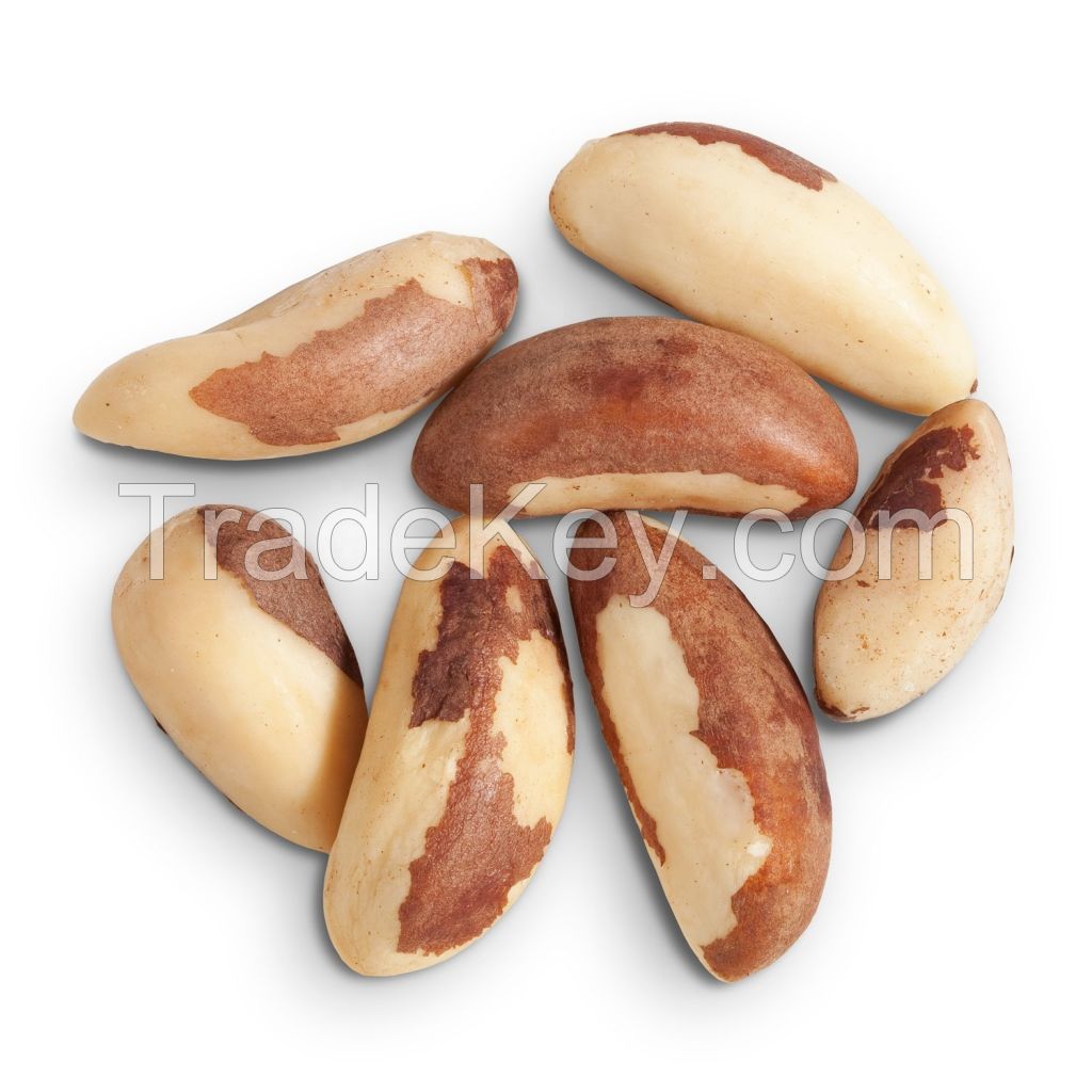 Raw Brazil Nuts / Shelled Brazil Nuts / Dried Brazil Nuts 100% wholesale