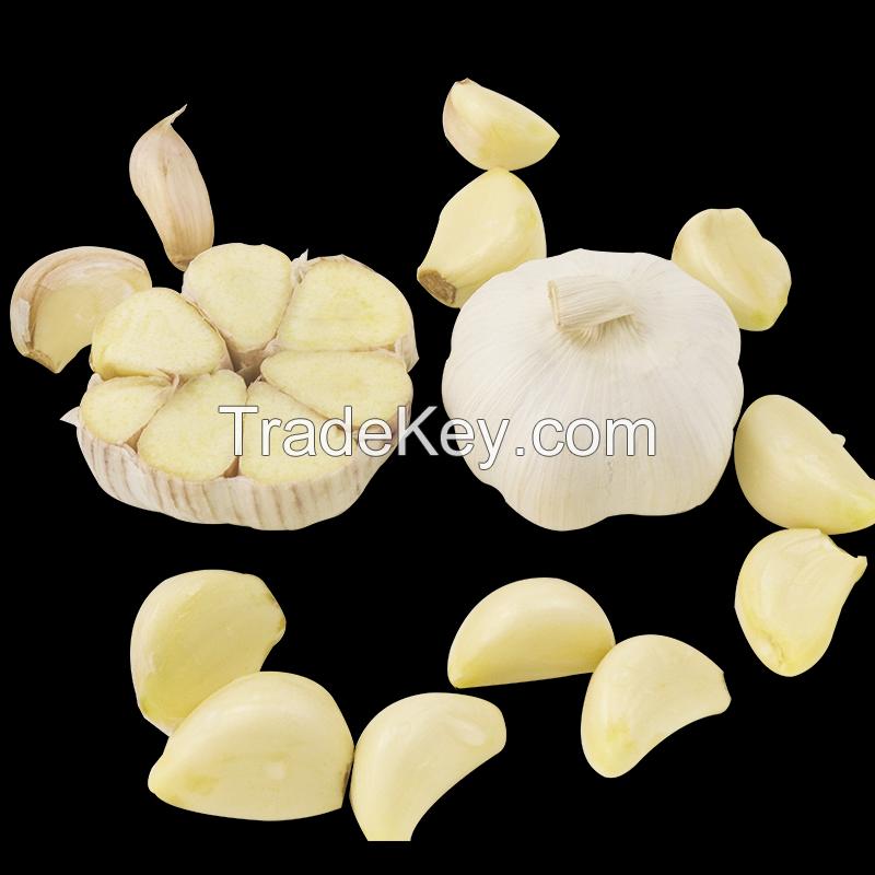 10kg Mesh Bag Fresh Garlic