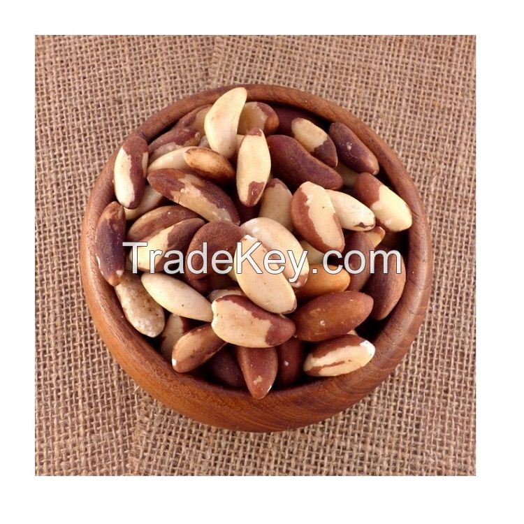 Raw Brazil Nuts / Shelled Brazil Nuts / Dried Brazil Nuts 100% wholesale