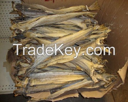 Stockfish of Ling in 45 kg bales.