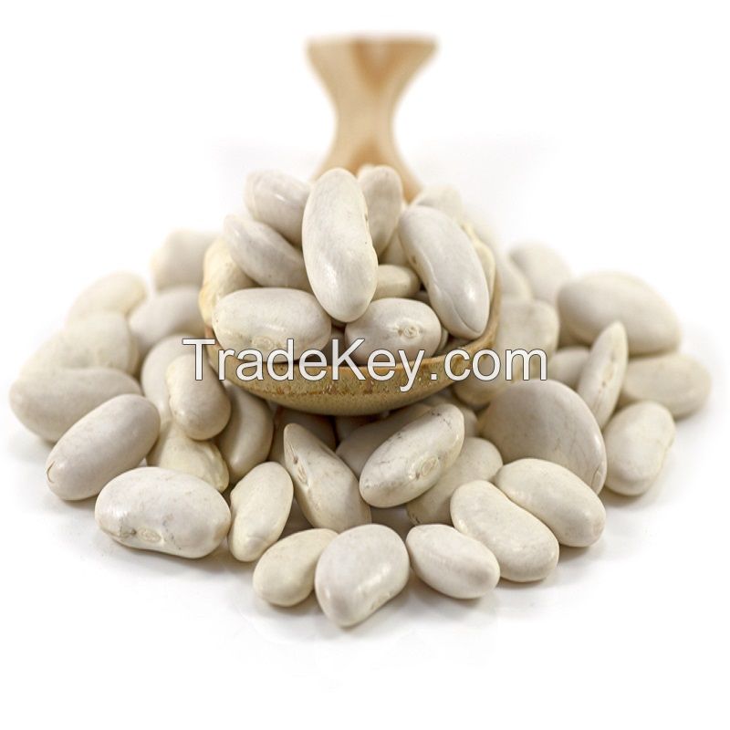 Quality White Butter Beans for sale