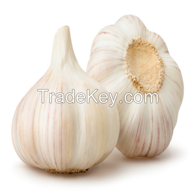 2021 South Africa Best Wholesale Fresh Garlic Price -new crop, high quality for export