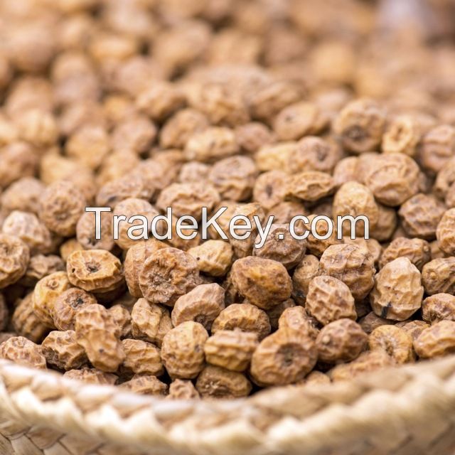 High quality TIGER NUTS Tiger Nuts Organic / Organic Certified Tiger nuts in South Africa