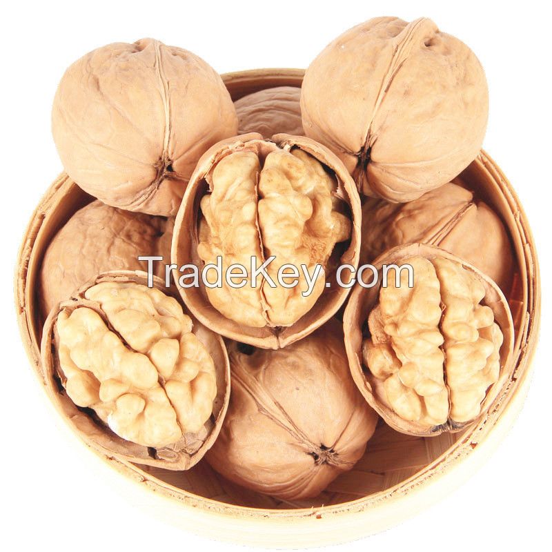 Excellent Quality Thin-Skin Raw Walnut with Shell in Bulk Wholesale