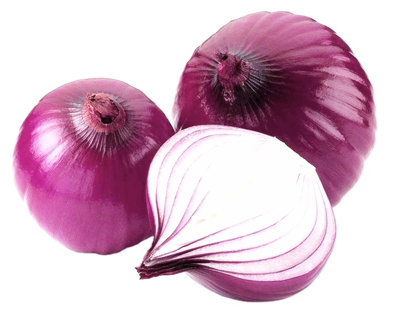 Best Quality Widely Selling Fresh South Africa Onion