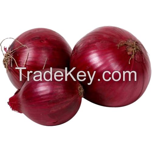 Best Quality Widely Selling Fresh South Africa Onion