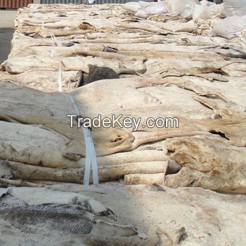 Wet Salted & Dry Salted Donkey Hides and Cow Hides, cattle Hides, animal skin, Goats, Horses