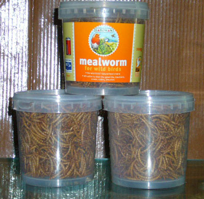 dry mealworms