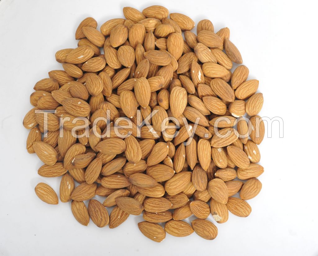 Pecan Nuts 