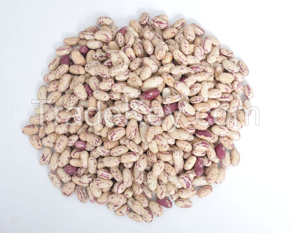 Kidney Beans