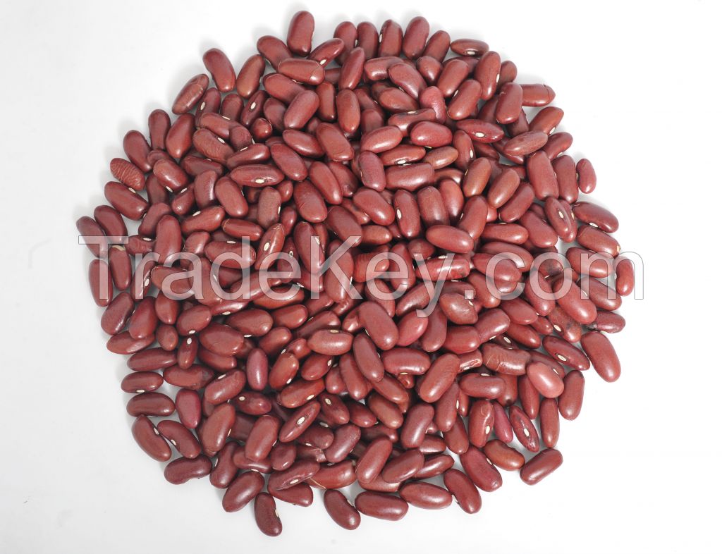 Kidney Beans