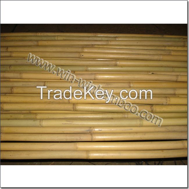 Tsinglee tonkin bamboo canes for farming and gardening