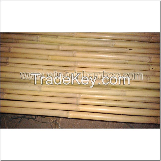 Tsinglee tonkin bamboo canes for farming support and gardening decor