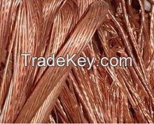 Copper Wire Scrap 99.9%  ~S