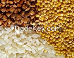 Organic Grain from Ukraine