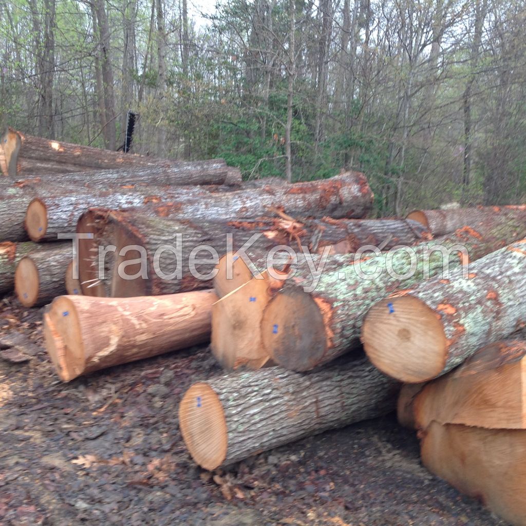 Red Oak Logs 