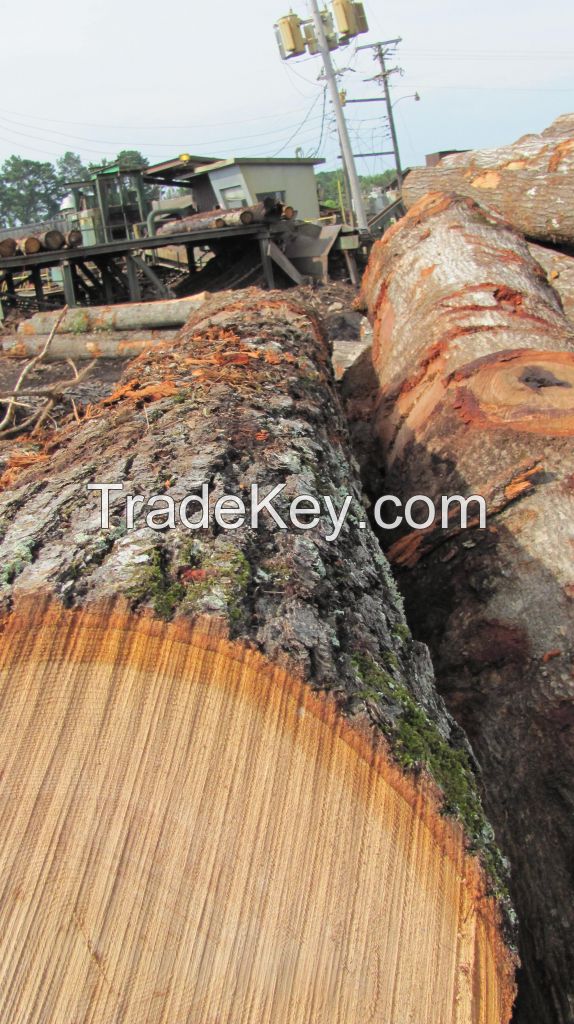 Red Oak Logs