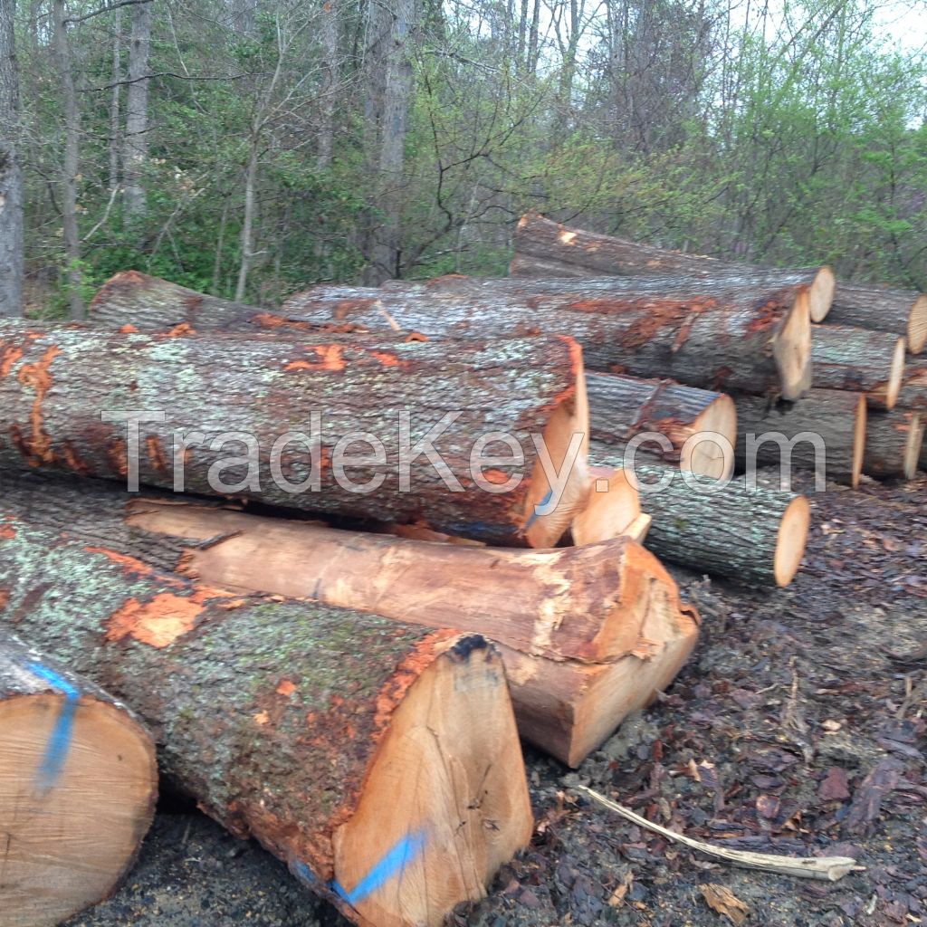 Red Oak Logs 