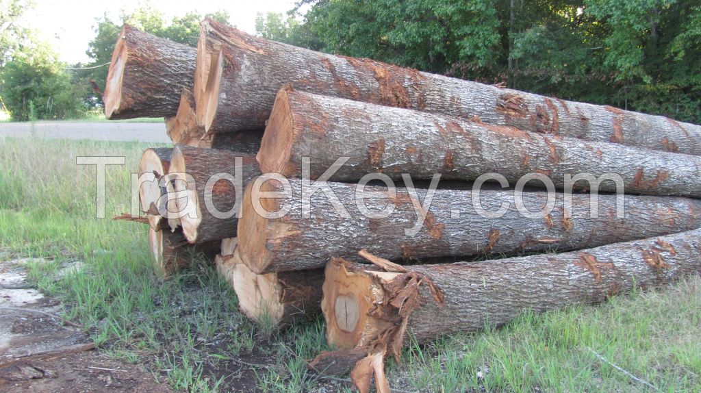 Hickory Logs